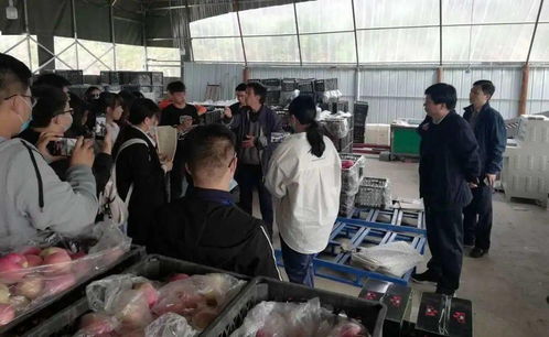 校地合作謀振興 河北科技大學(xué)電商專業(yè)與李保國(guó)干部學(xué)院共促漿水蘋(píng)果產(chǎn)業(yè)升級(jí)